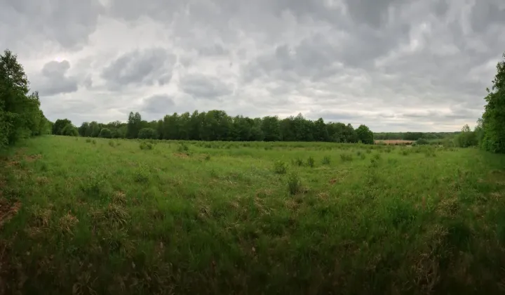 Działka rolna Bodzanów