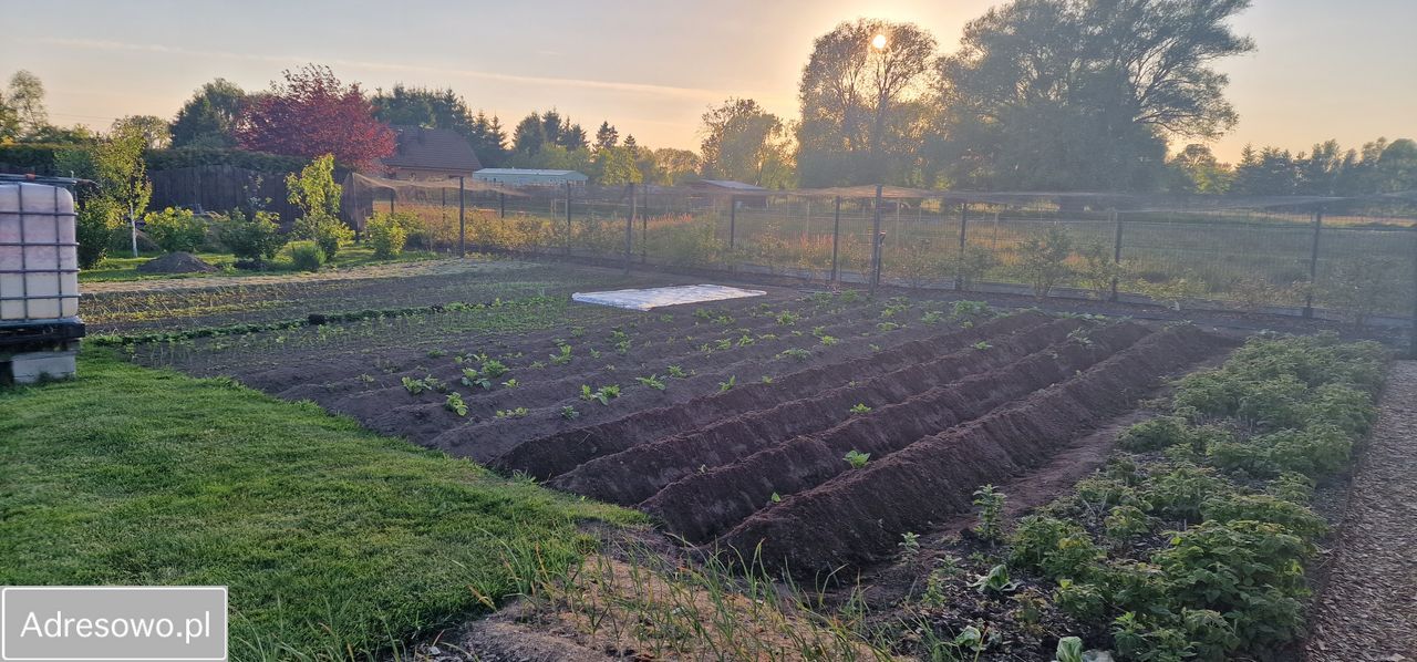 Działka budowlana Świnoujście Karsibór, ul. Warzywna. Zdjęcie 6