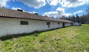 Działka siedliskowa Mniów