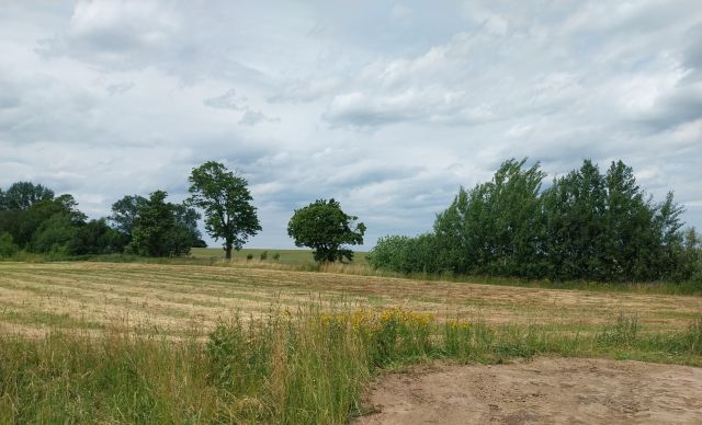 Działka budowlana Cieszyn. Zdjęcie 1