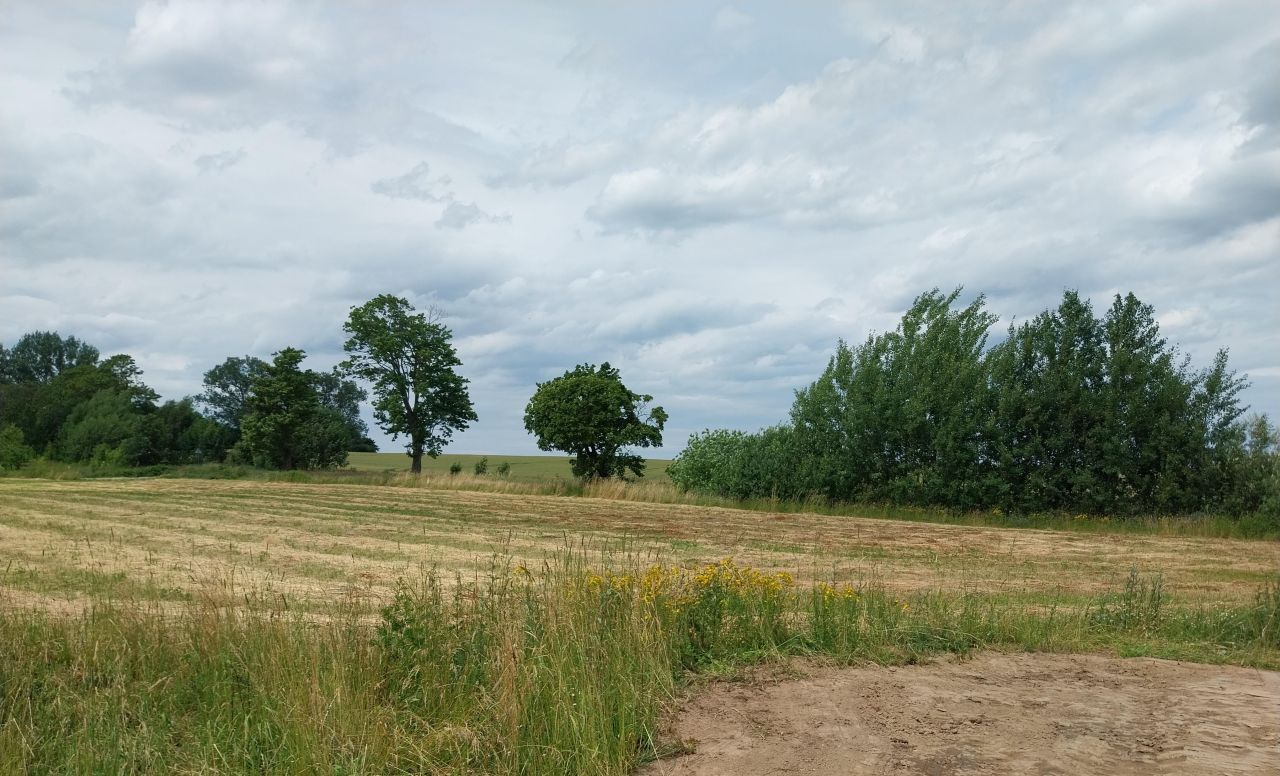 Działka budowlana Cieszyn