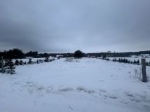 Działka rolno-budowlana Laskowice. Zdjęcie 1