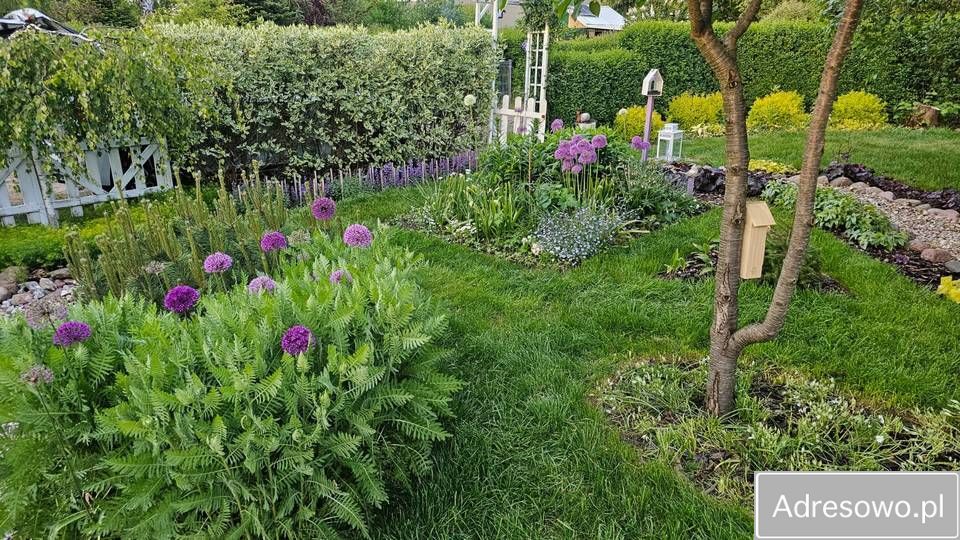 Działka rod Radom Wośniki, ul. Hodowlana. Zdjęcie 8