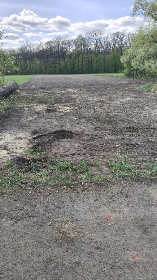 Działka rolno-budowlana Grodziec. Zdjęcie 7