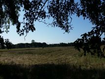 Działka inwestycyjna Chomino. Zdjęcie 2