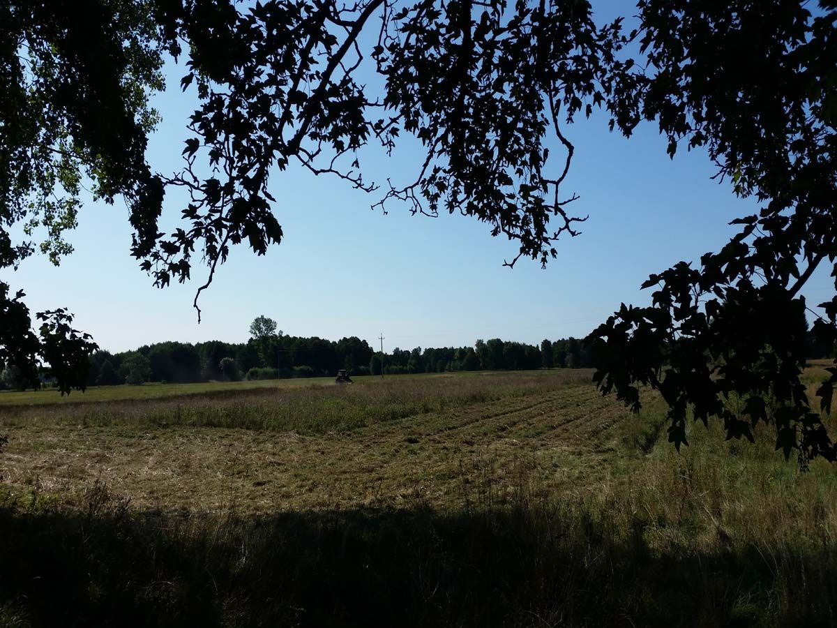 Działka inwestycyjna Chomino. Zdjęcie 3