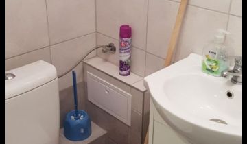 Lokal Lubań Centrum, rynek Rynek