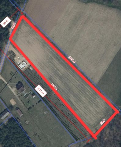 Działka rolna Nowy Lipsk. Zdjęcie 1