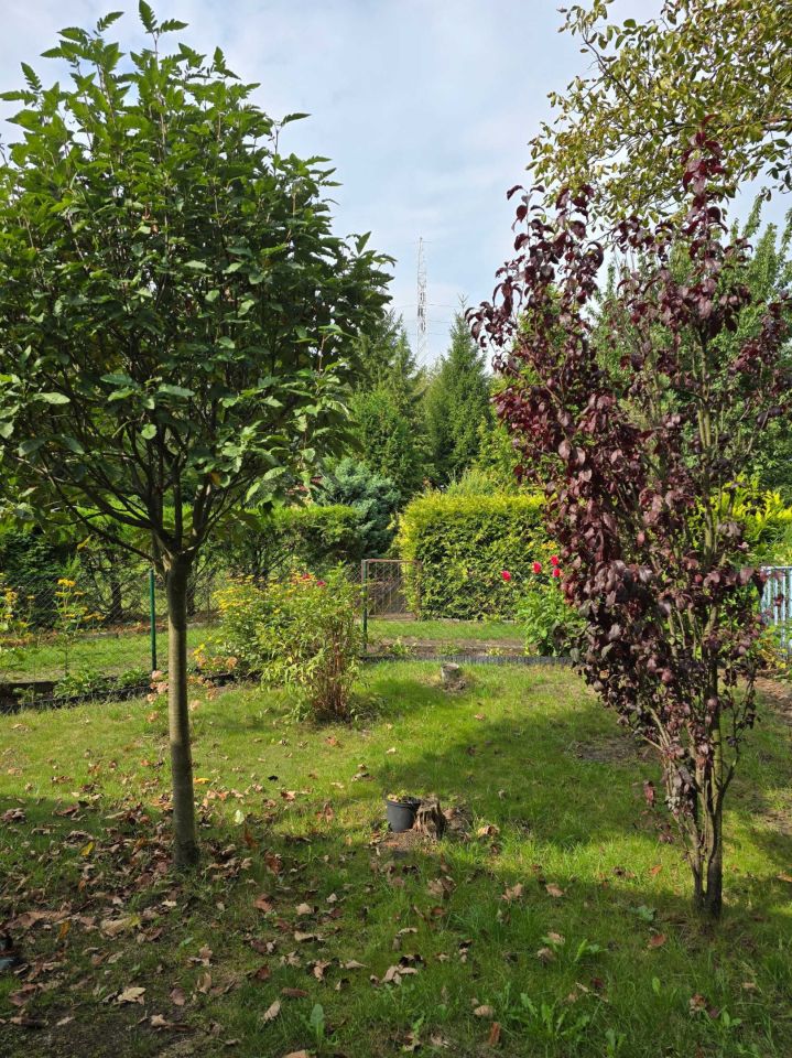 Działka rod Łódź Teofilów, ul. św. Teresy od Dzieciątka Jezus. Zdjęcie 7