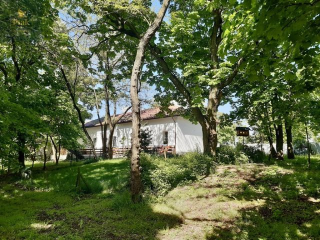 Działka budowlana Luciny. Zdjęcie 16