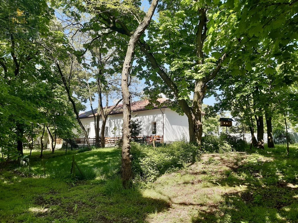 Działka budowlana Luciny. Zdjęcie 16