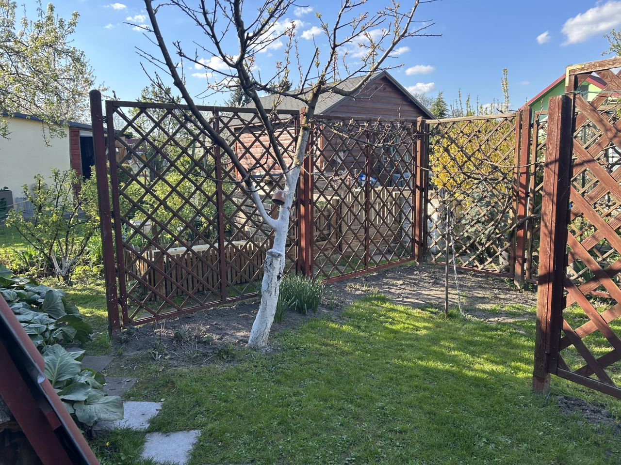 Działka rod Głogów, ul. Adama Mickiewicza. Zdjęcie 10