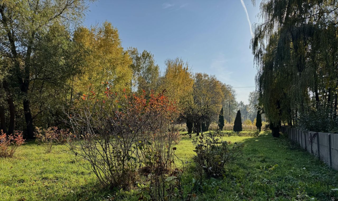 Działka siedliskowa Brzeziny, Brzeziny. Zdjęcie 8