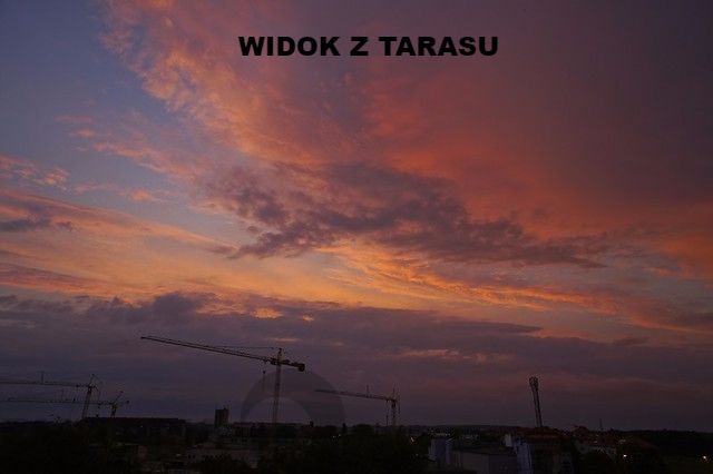 Mieszkanie 5-pokojowe Szczecin Gumieńce, ul. Kwiatowa. Zdjęcie 36