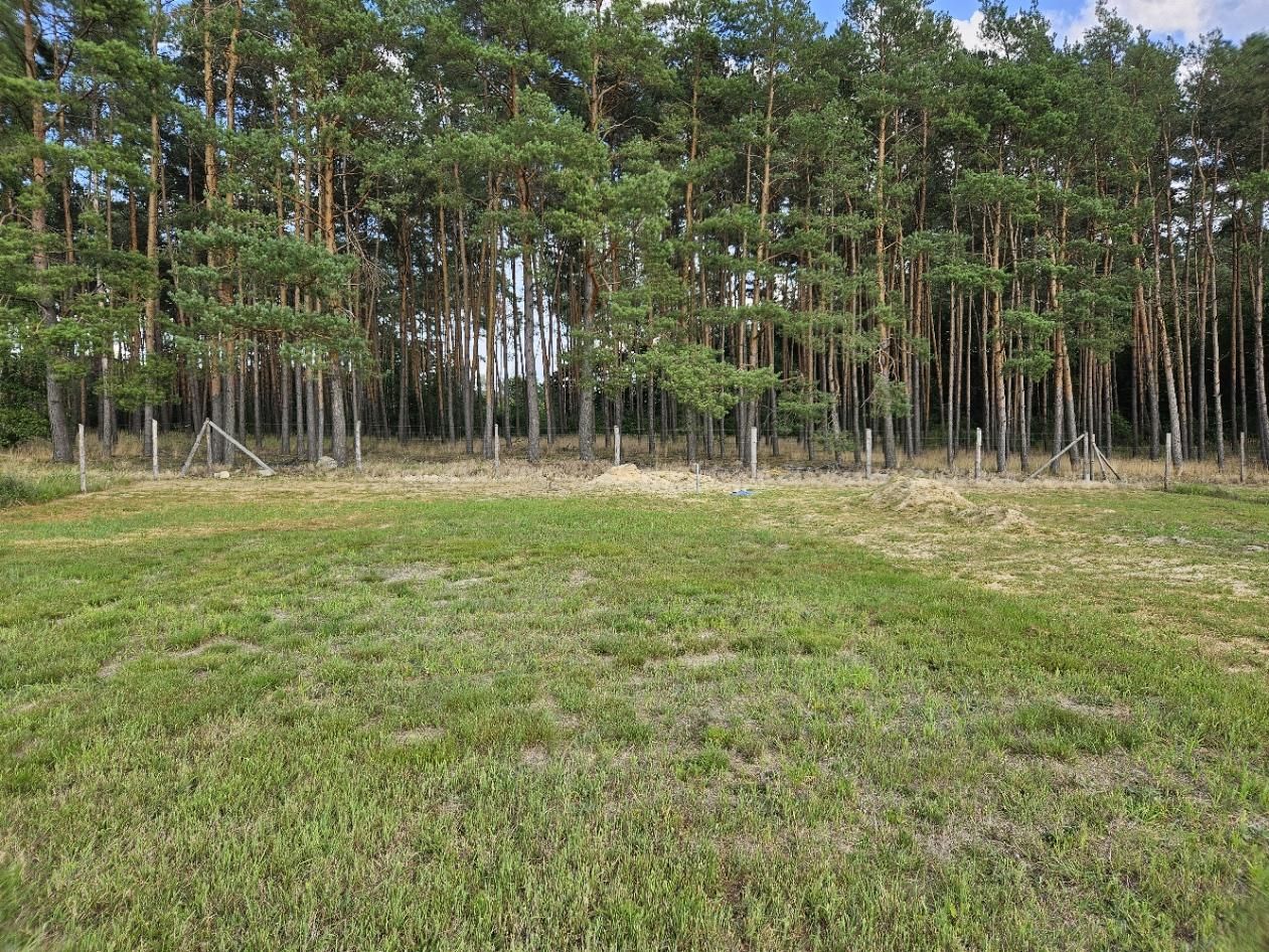 Działka budowlana Dąbie. Zdjęcie 4