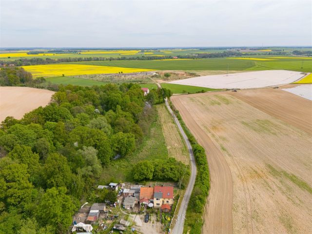Działka siedliskowa Sobolew. Zdjęcie 6