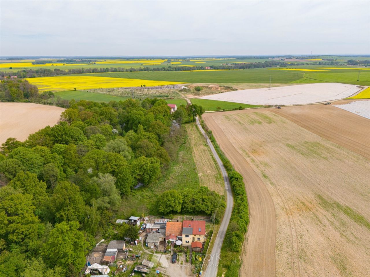 Działka siedliskowa Sobolew. Zdjęcie 6