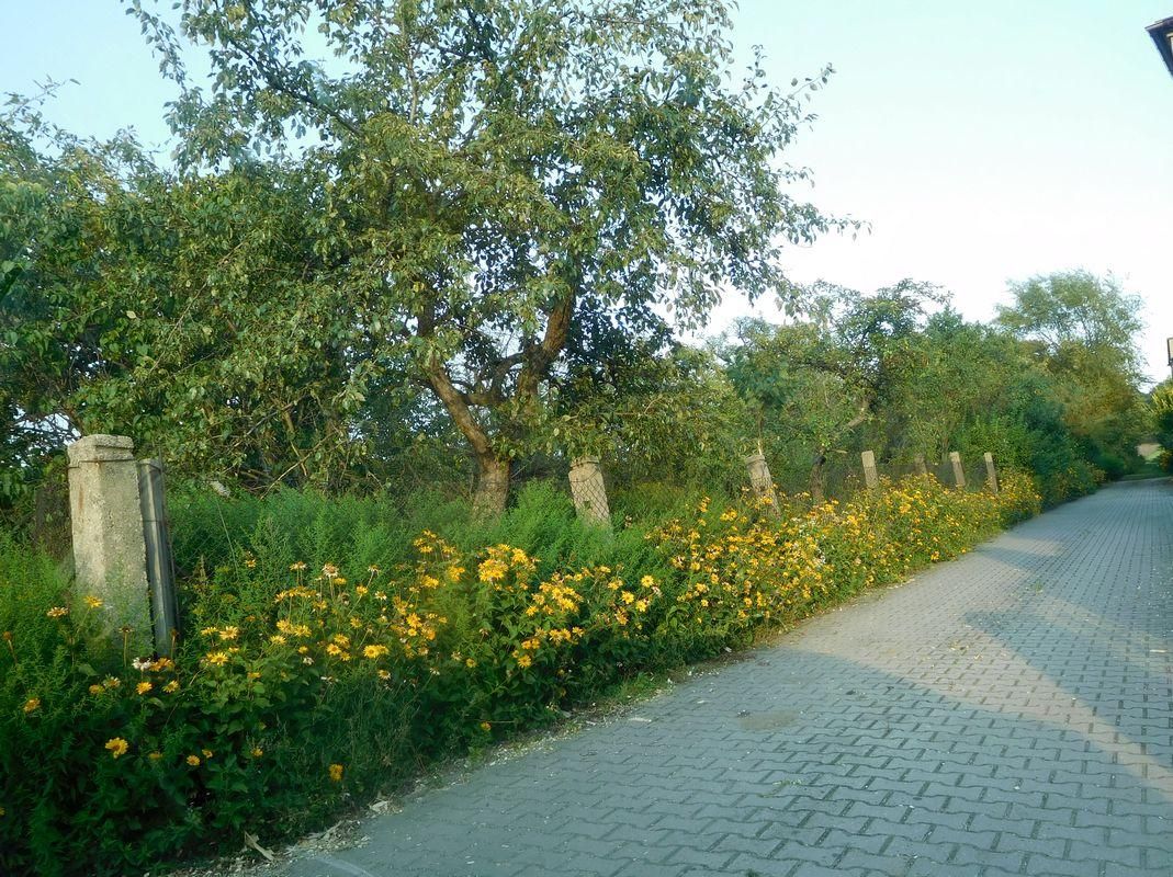 Działka rolno-budowlana Ostrzeszów, ul. Podmiejska . Zdjęcie 3