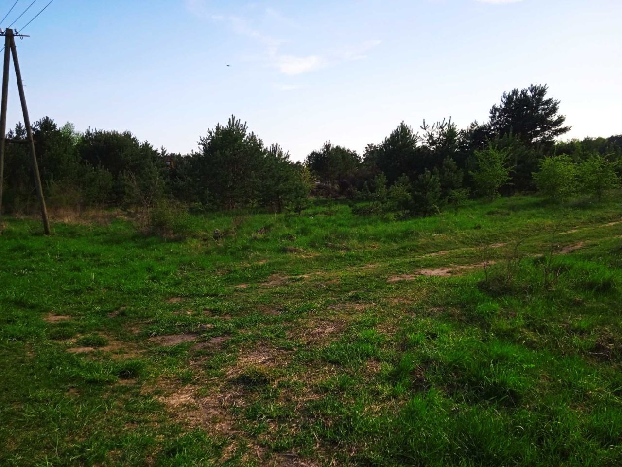 Działka Żabin, bez pośrednika 700 m2