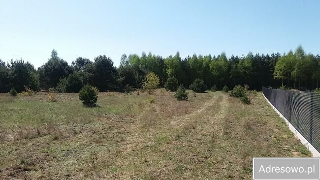 Działka siedliskowa Lubaty. Zdjęcie 6