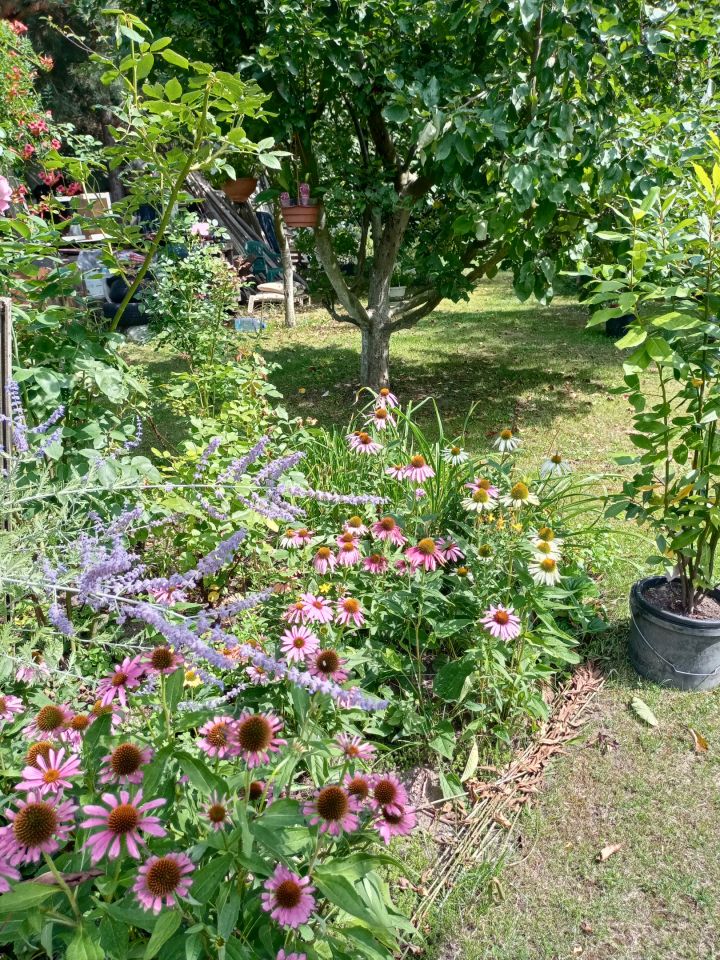 Działka rekreacyjna Wrocław Bierdzany, ul. Nizinna. Zdjęcie 33