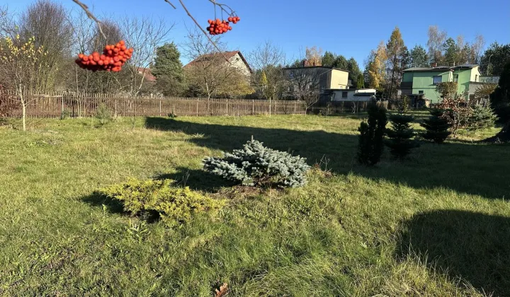 Działka budowlana Orzesze, ul. Klonowa