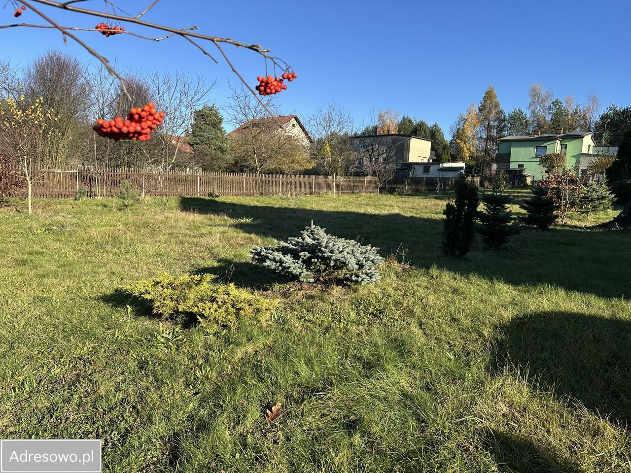 Działka budowlana Orzesze, ul. Klonowa