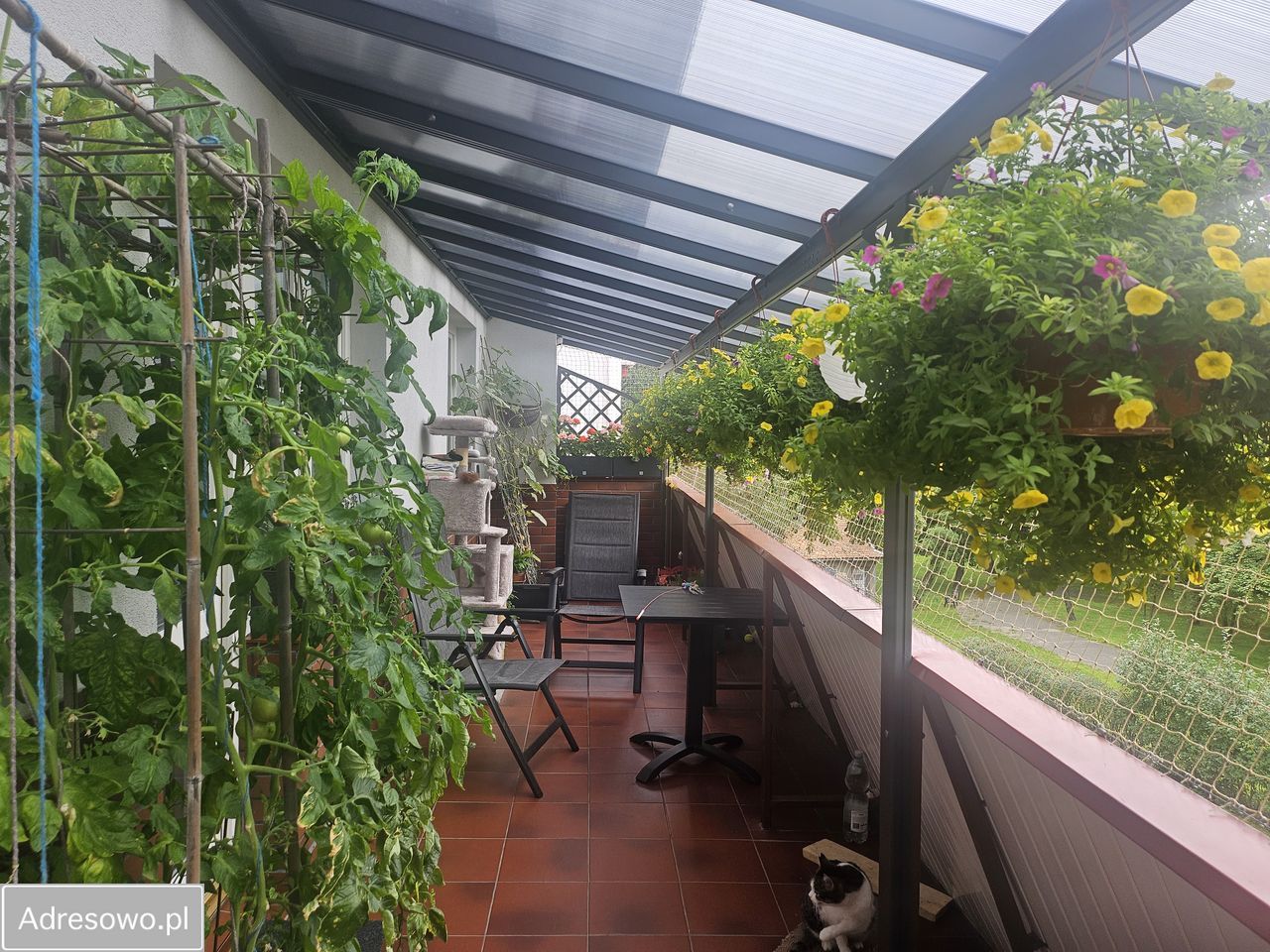 Mieszkanie 3-pokojowe Włocławek, ul. Rzeczna. Zdjęcie 2