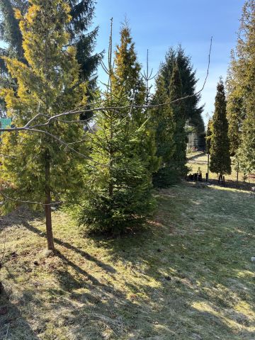 Działka rod Tczew Czyżykowo, ul. Bałdowska. Zdjęcie 1