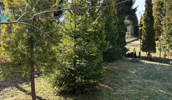 Działka rod Tczew Czyżykowo, ul. Bałdowska