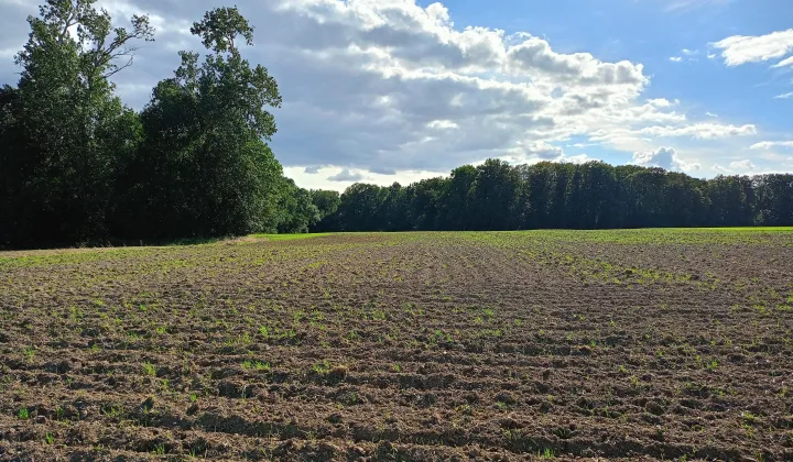 Działka budowlana Włocławek Zawiśle , ul. Dobrzyńska