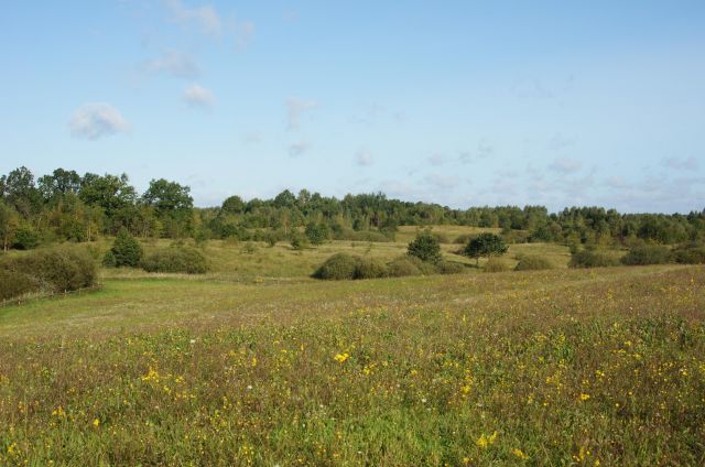 Działka rolna Ińsko, ul. Polna. Zdjęcie 1