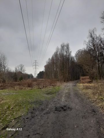 Działka rolno-budowlana Zakręt. Zdjęcie 1