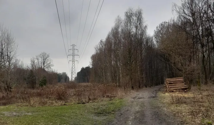 Działka rolno-budowlana Zakręt