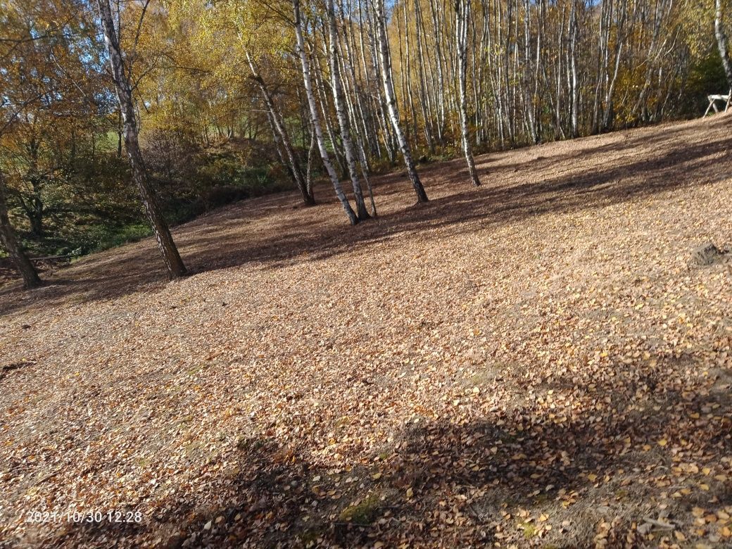 Działka budowlana Cisowa. Zdjęcie 5