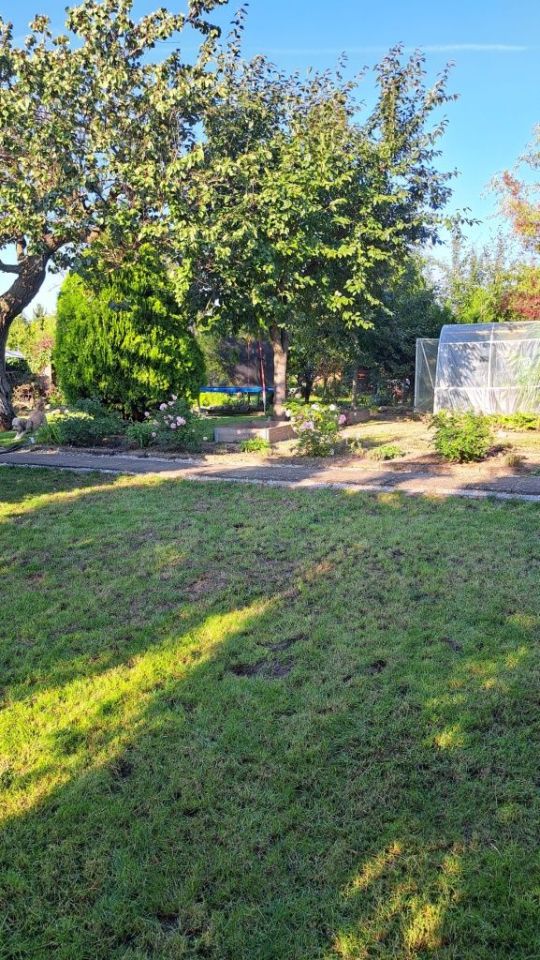 Działka rod Szamotuły. Zdjęcie 3