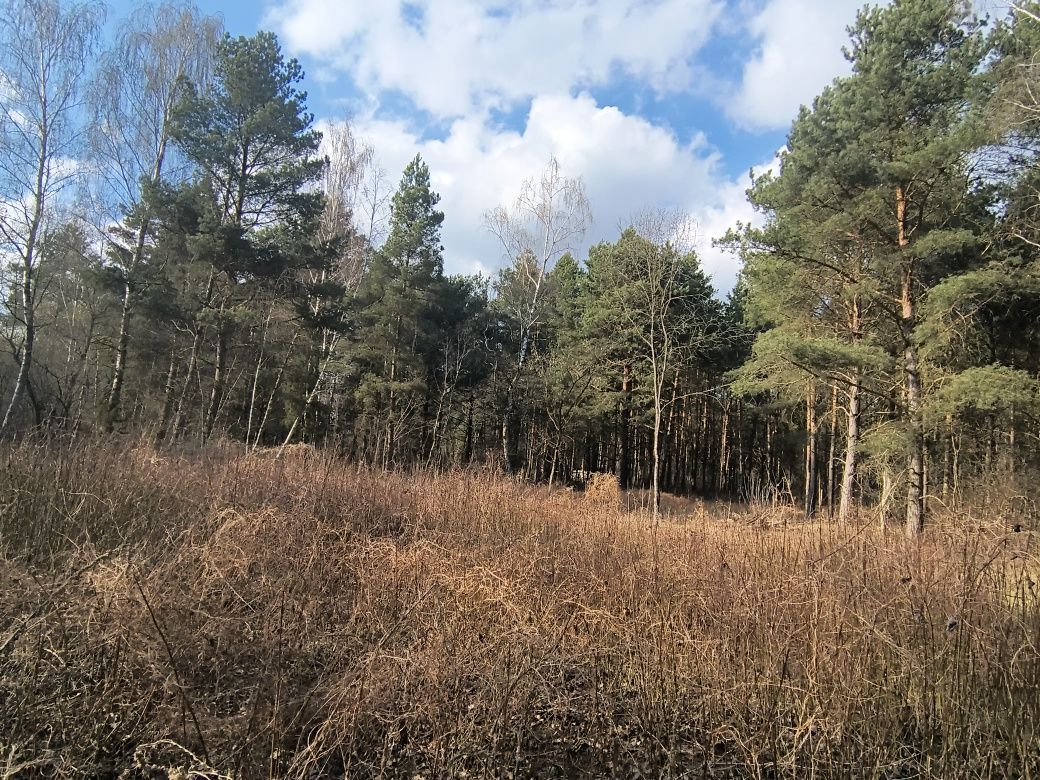 Działka rekreacyjna Pogorzelec. Zdjęcie 4