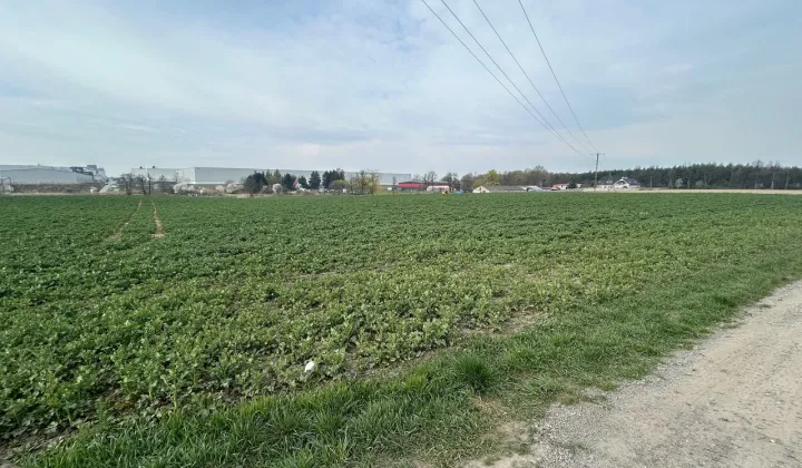 Działka inwestycyjna Robakowo