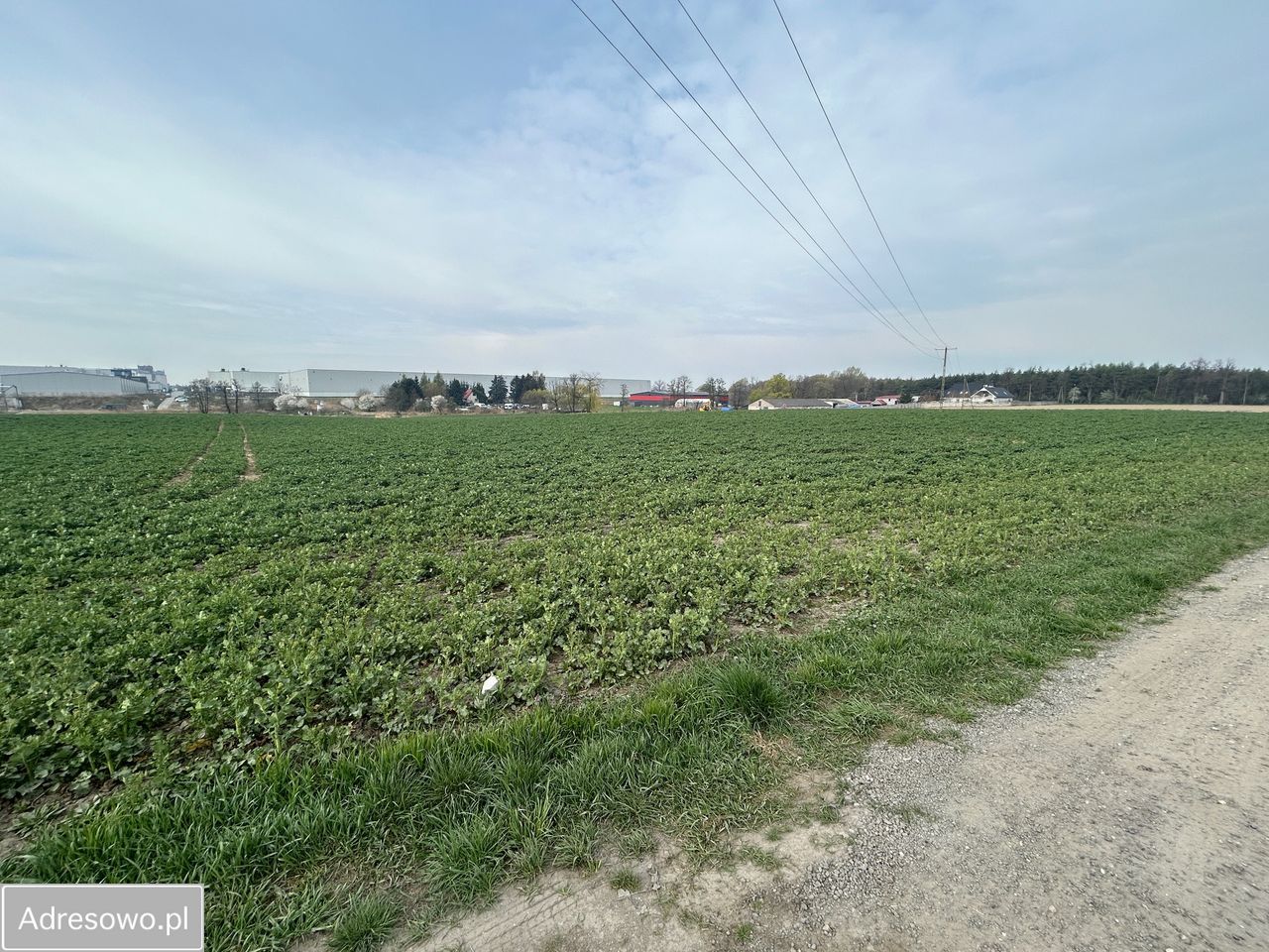 Działka inwestycyjna Robakowo. Zdjęcie 1