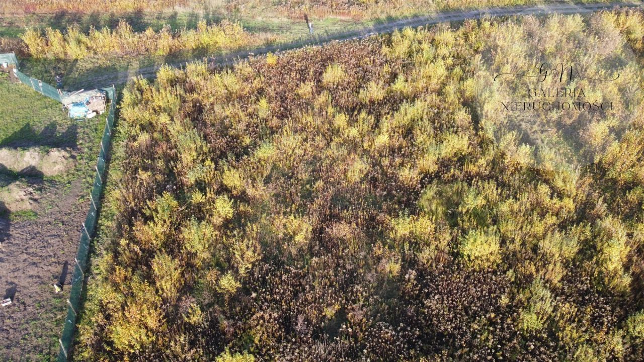 Działka Tomaszkowo. Zdjęcie 5