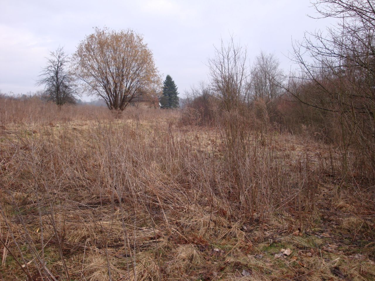Działka rolno-budowlana Chrzanów Kąty, ul. Śląska. Zdjęcie 7