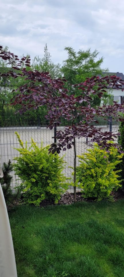 dom wolnostojący, 4 pokoje Karniowice, ul. Słoneczna. Zdjęcie 45