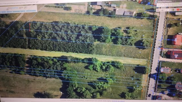 Działka budowlana Modrzew, Modrzew. Zdjęcie 1