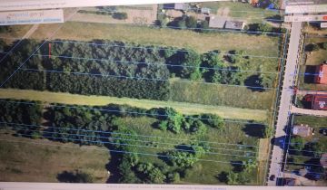 Działka budowlana Modrzew, Modrzew