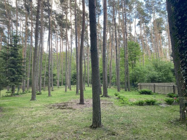 Działka budowlana Czyżemin. Zdjęcie 7