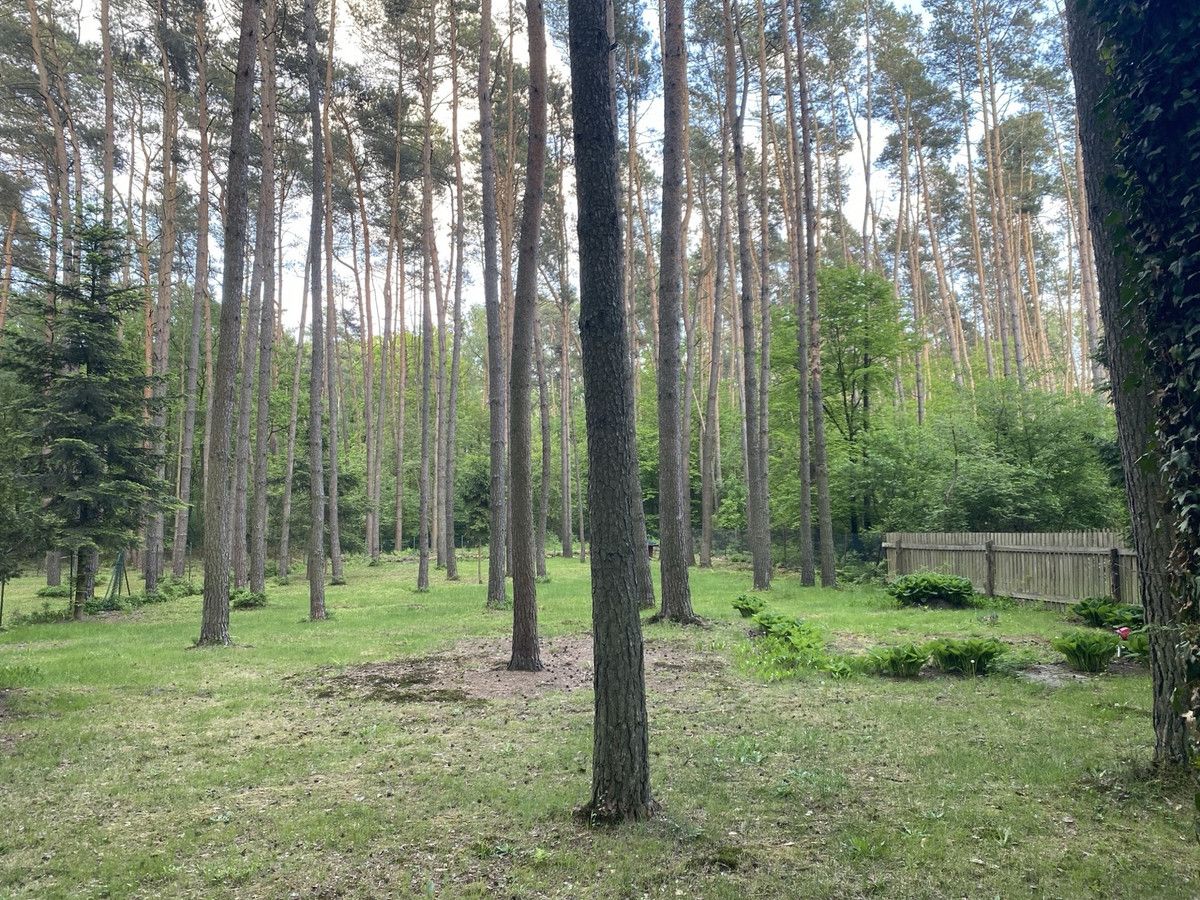 Działka budowlana Czyżemin. Zdjęcie 7