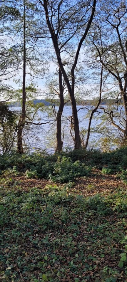 Działka budowlana Gudowo. Zdjęcie 4