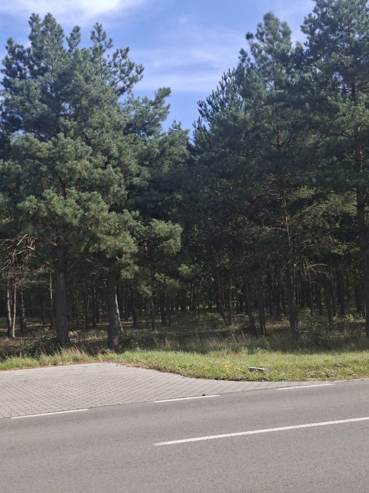 Działka budowlana Marynino. Zdjęcie 5