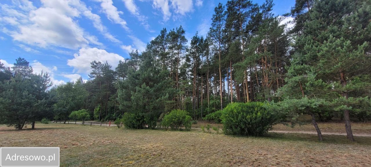 Działka budowlana Dolna Grupa. Zdjęcie 2