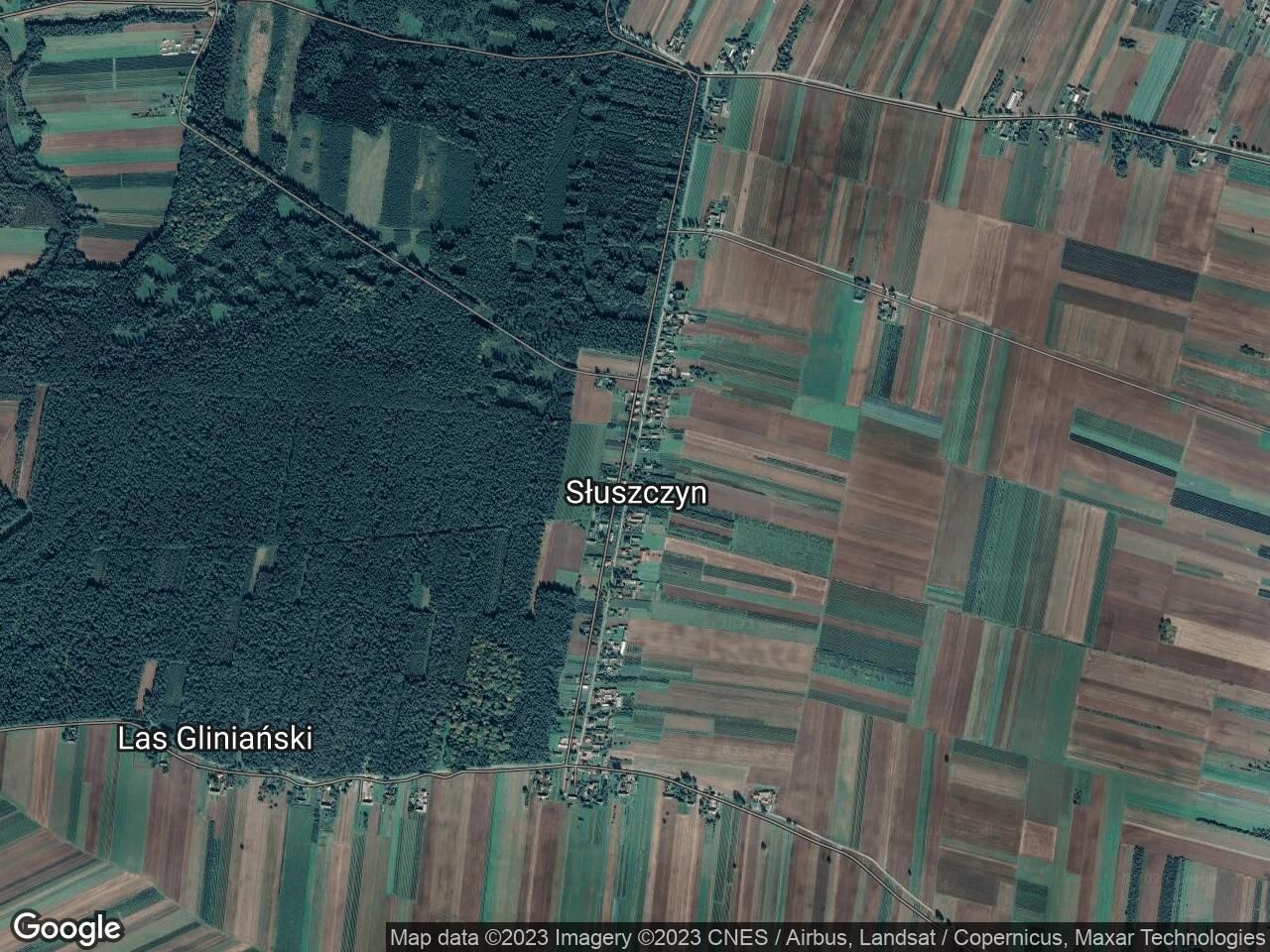 Działka leśna Słuszczyn